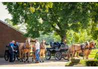 Bed & Breakfast Paardenhotel de Scharrelhof in de Achterhoek Gelderland VMP079